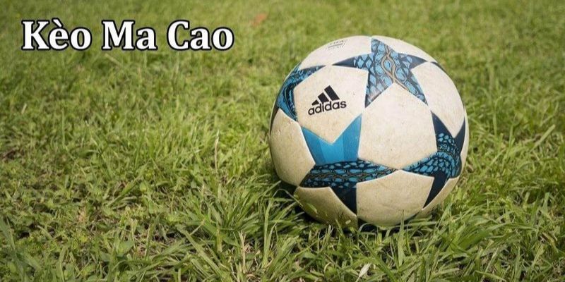 Chi tiết cách đọc kèo Macao tại HB88